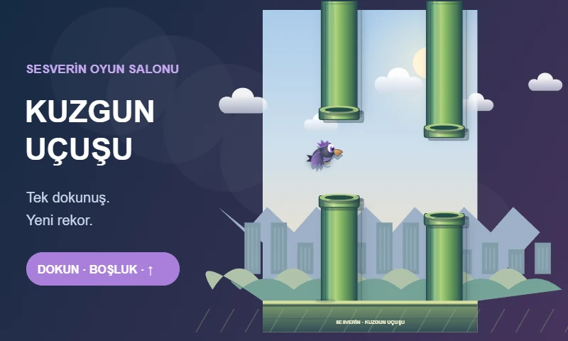 Kuzgun Uçuşu oyun görünümü